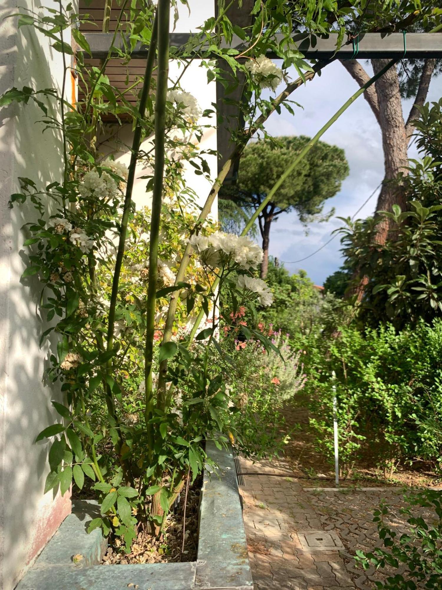 Beau Rivage - Room Studio In Villa SantʼArcangelo di Romagna Zewnętrze zdjęcie